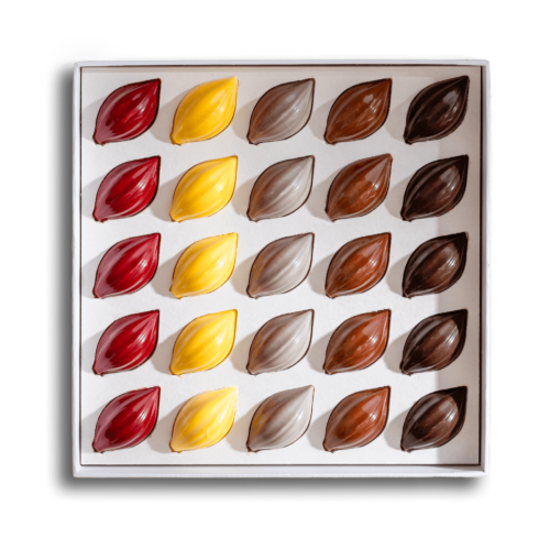 Cocoa Bloom - Cabosses fruitées / 25 pces