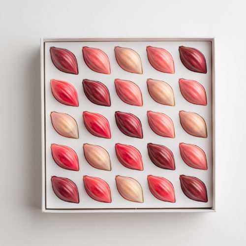 Cocoa Bloom box – Fruity pods / 25 pcs