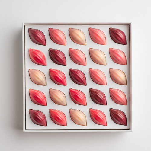 Coffret Cocoa Bloom - Cabosses fruitées / 25 pcs