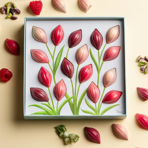 Coffret Floraison - Cabosses fruitées / 16 pcs